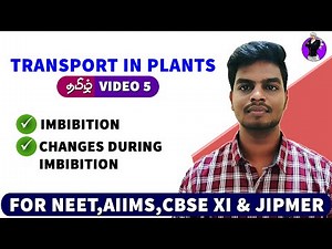 Imbibition in Tamil | Transport in Plants in Tamil (5)