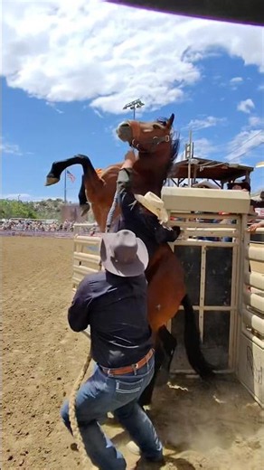First Person Riders View, Wild horse racing in Prescott Az. For a first for the day😎