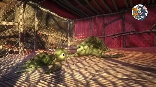 Las Aventura de Sammy La Tortuga Película Completa en Español Latino | Series Animadas