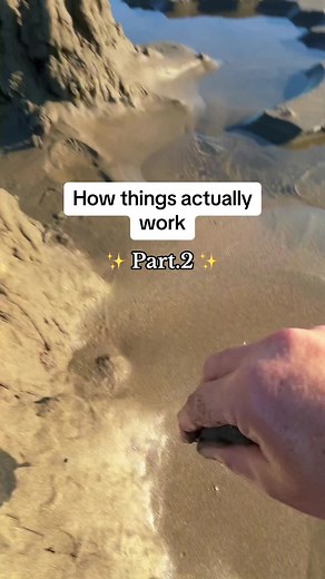 How things work | Part 2 #intresting #howthingswork #howthingsactuallywork #fyp #forgoupage