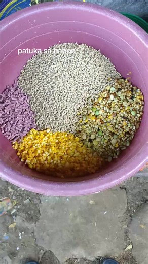 Gamefowl Feed: A Guide to Properly Feeding Roosters