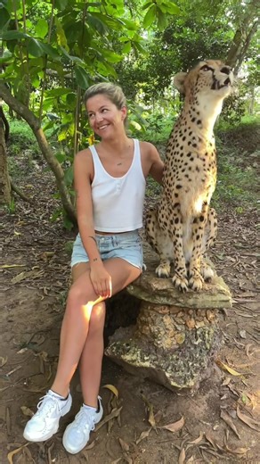 Cheetah's Rock Sanctuary in Zanzibar
