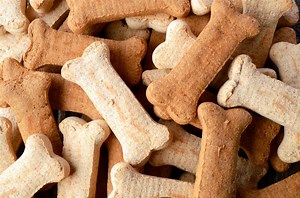 Galletas para Perros 🍪 Recetas caseras y fáciles