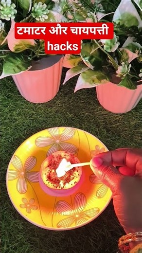 Tomato 🍅 Chaipatti ki useful Tips 👍#newkitchentips #latestvideo #viralshorts #tamatar #shorts #yt