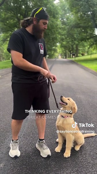 Effective Dog Training Techniques to Prevent Leash Reactivity and Jumping Behavior