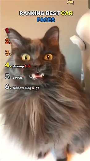 Ranking Best Cat Faces 😹 | Funny Cat Videos #shorts #viral