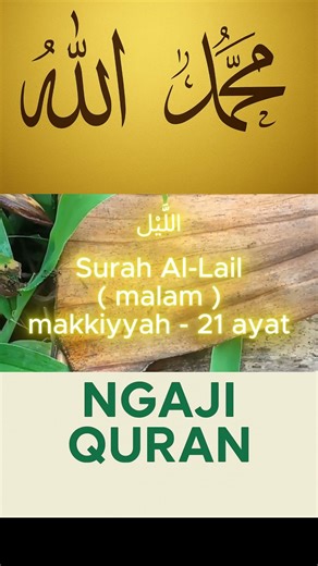 Surah Al-Lail | Meaning & Short Interpretation – Two Paths of Human Life #al-Quran #al-Lail #moti...