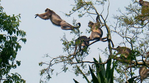 322K views · 6.3K shares | This #EarthDay, be inspired by the home we all share. https://on.natgeo.com/2xPcLIz #NatGeoEarthDayAtHome | National Geographic | Facebook