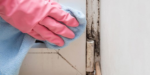 How to get rid of mould - Which?