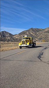 Old Pete absolutely screaming