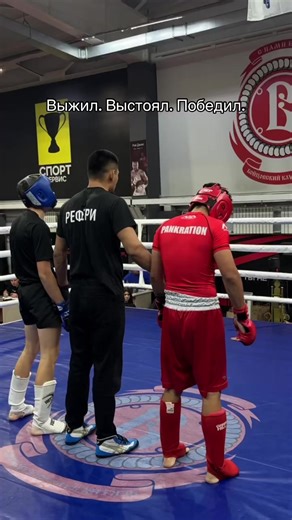 Survive, Stand Strong, Win: The Spirit of MMA