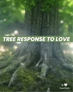 83K views · 2.6K reactions | What happens when a group of people...