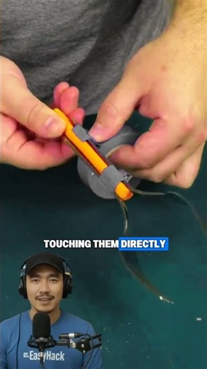 A smart and simple tip to make a useful tool for picking up objects #shorts