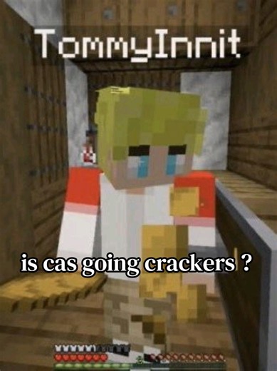 I dont know why the audio sounds all weird and shit, my bad ig #dsmp #minecraft #tommyinnit #rantoftheday
