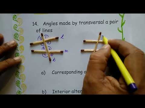 Basics of geometry- angles, pair of angles and lines