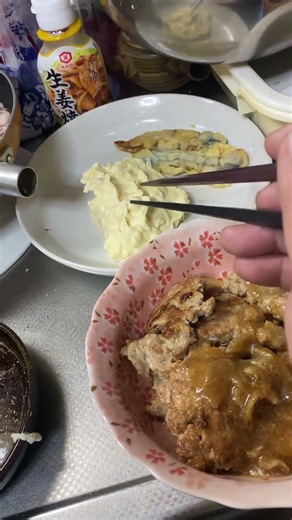 Low-budget meal: Teriyaki hamburger steak
