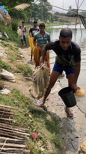 Best fishing video- lots of people catching big fish by net at the River | Daily Fishing Life