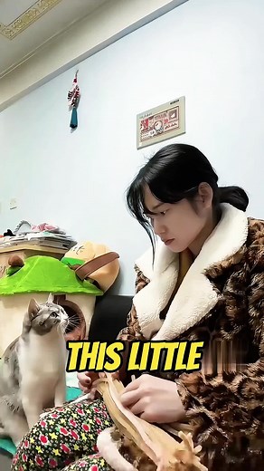 Cat Learns Sign Language to Communicate with Owner