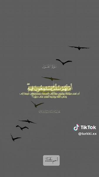 ‏#CapCut #المنشاوي #عبدالباسط_عبدالصمد #ai #قران