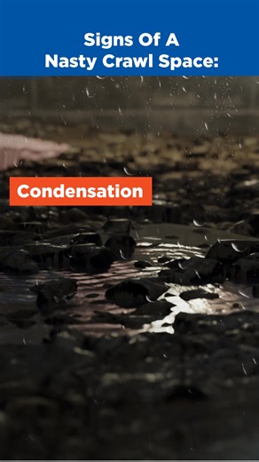 Sunshine Foundation Repair can solve your crawl space problems with the CleanSpace® crawl space encapsulation system. Schedule your on-site evaluation and free cost estimate today! | Sunshine Foundation Repair | Facebook