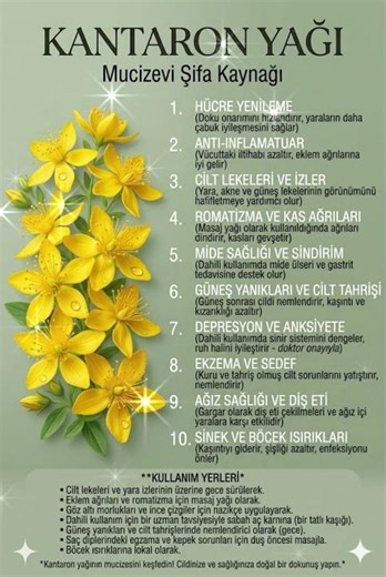 Evinizdeki Mucize: Kantaron Yağının 10 Şaşırtıcı Faydası! 🌼✨ #shorts