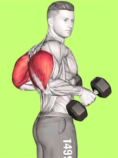 Best Triceps Workout Ever! #triceps #tricep #armsworkout #workout #gym | triceps