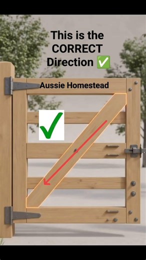 Gate sagging and dragging? Here is the correct way to brace one #gate #fypyoutube #algorithm #diy