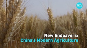 With only 10 percent of the world's land resources, #China needs to feed 20 percent of the world's population. Continuing rural revitalization with new #technology and big data will help create even more new opportunities. More from our special series, New Endeavors. | CGTN America