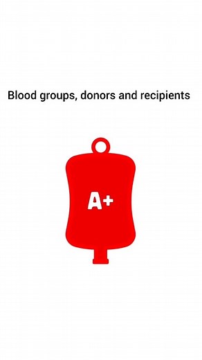 Biology | More about blood groups 👇 BLOOD TYPE & RH FACTOR The ABO group and Rh type classify a group of genetically inherited antigens found in... | Instagram