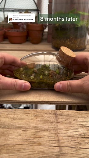 Mini Cactus Terrarium Update! Surviving the Cold Winter 🌵