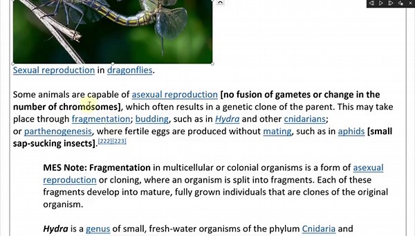 Animal Form and Function: Reproduction