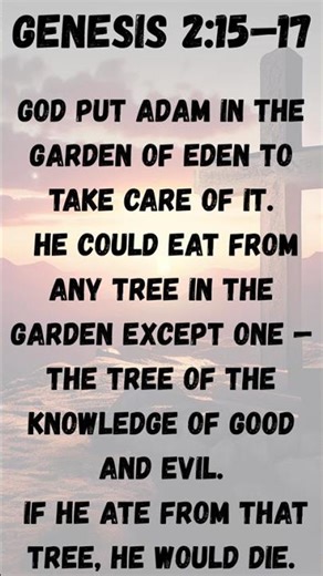 Genesis 2:15-17 #genesis #wordofgod #bible