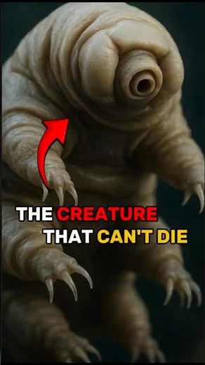 Tardigrades The Immortal Water Bears of Earth
