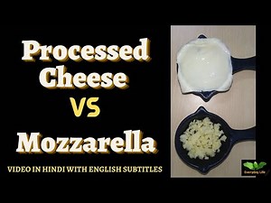 Processed Cheese Vs Mozzarella | Which Melts faster? Pizza Topping | Everyday Life #229