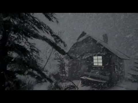 BRUTAL SUPER EPIC SNOW STORM in Alaska 2025 years for sleeping. Cozy snow storm sounds for sleeping