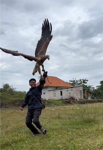 Calling Eagles: Enjoy Nature's Majestic Birds