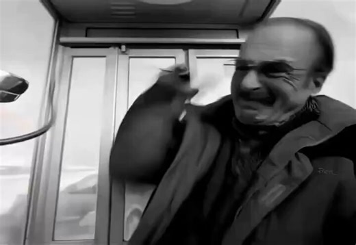 12th time watching this same tweet slop. Every accn posts this, I mute them. CS isn't about making web dev api. Ever tried connecting hardwares and software. You have to understand how it works and write drivers for it. A lot of kernel stuffs, many low level concepts are there.