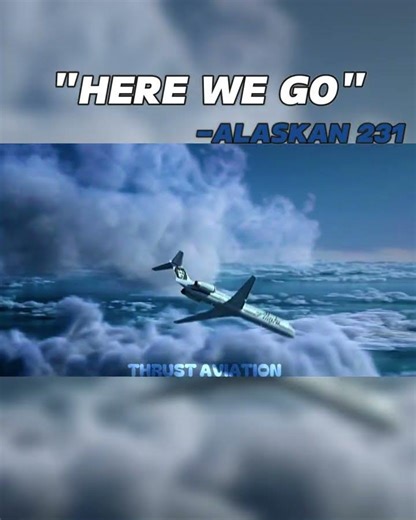 Pilots Saddest Final Words😔