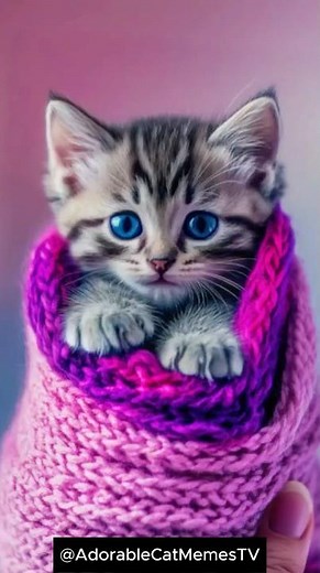 😱 Cutest Kitten Ever Sings APT! You Won’t Believe It! 🎤🐾