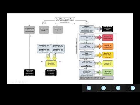 Clasificación Bosniak 2019 Quistes Renales