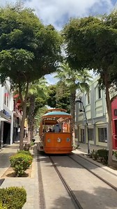 Getting around Oranjestad has never been more fun! The downtown street trollies connect the cruise ship terminal with the center of town, passing through the main street making 6 stops along the way. Hop-on hop-off, explore and shop in Oranjestad. P.S.: it’s free of charge 😉 Thanks for the video, @creolaaa! #YourHappyPlace. 💙 ​ .​ .​ .​ #yourhappyplace #discoveraruba #relax | Aruba