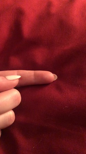 robyn._.bird on TikTok