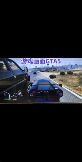 #游戏 无作弊码GTA5玩家