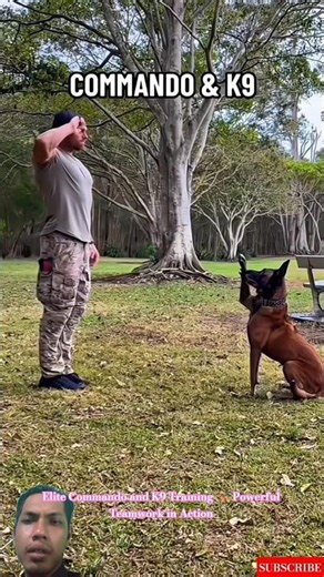 Elite Commando and K9 Training 🐕‍🦺 Powerful Teamwork in Action #malinois #k9master #dogtraining