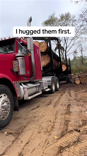 2.6K views · 36 reactions | Taking out some giants! #logging #timber #tigercat #pine #lumber #fre... | Jazlyn Smith | Facebook