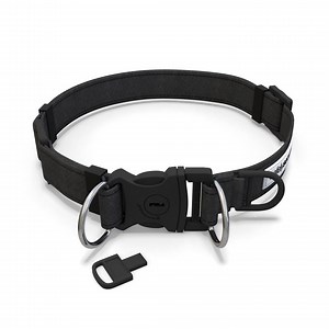 Safely Secured Anti-theft Lockable Dog Collar - Etsy