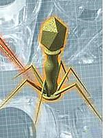 The Soviet method for attacking infection.