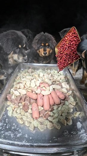 វីដេអូ​របស់ 2002 (@leevea_2002) អំពី what i eat