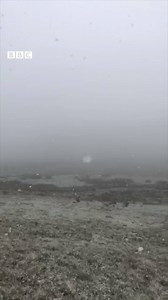 268K views · 5.8K reactions | IT'S SNOWING or at least it is in the Yorkshire Dales! This video was filmed this morning near Hawes ❄️ Read more: https://bbc.in/2Jyl29u | BBC Yorkshire | Facebook