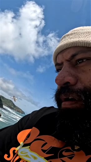 Kingston Eclipse 🧟‍♂️ on Instagram: "Birds Migrate To This Breeding Location 🐦 Full video on my YouTube channel - KissTheFloorTV #akl #auckland #nz #newzealand"